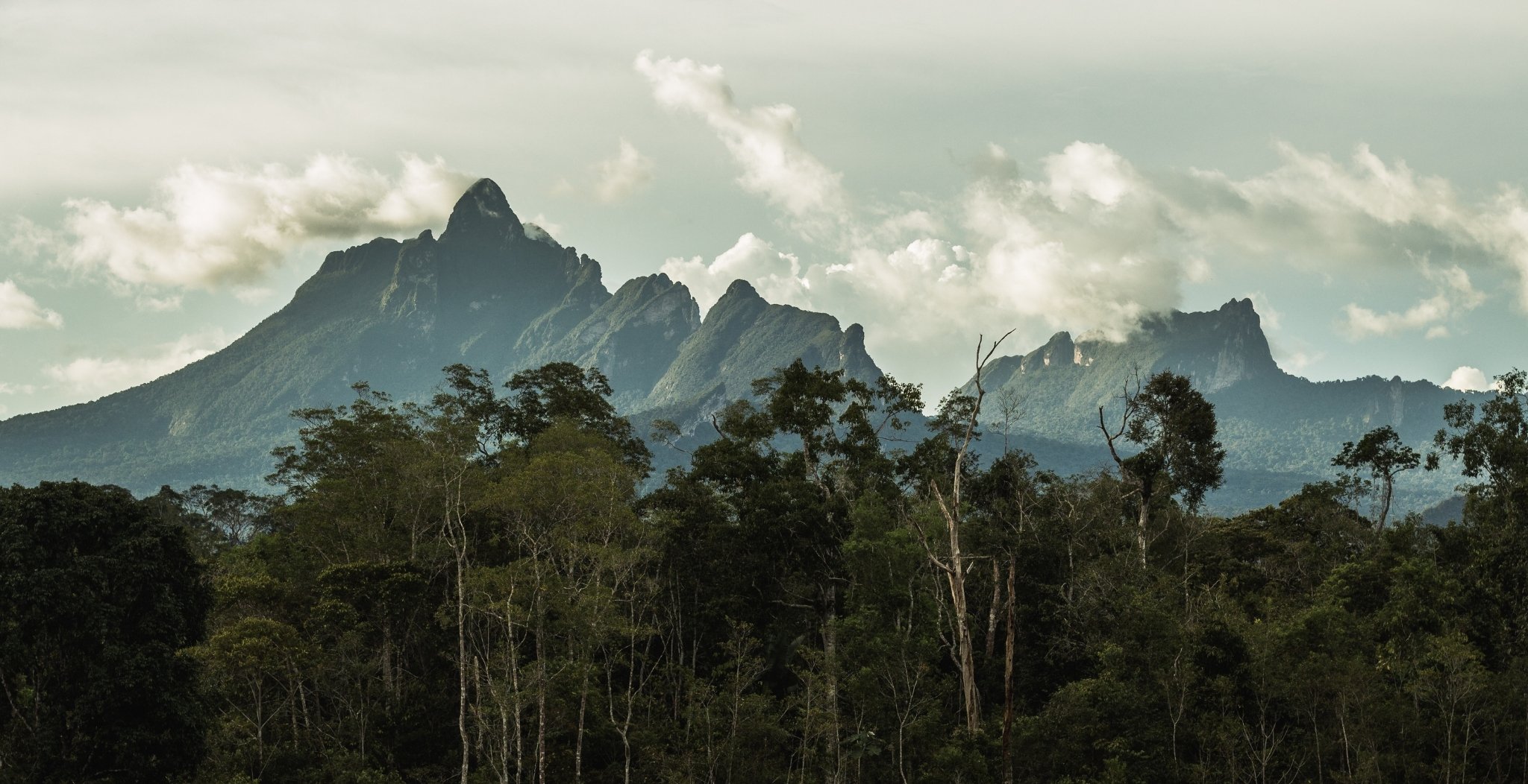 Cena de reportagem: 15-day Pico da Neblina Expedition, Brazil - PlanetaEXO, no trecho “O que é o geoide e por que ele entra na conta”