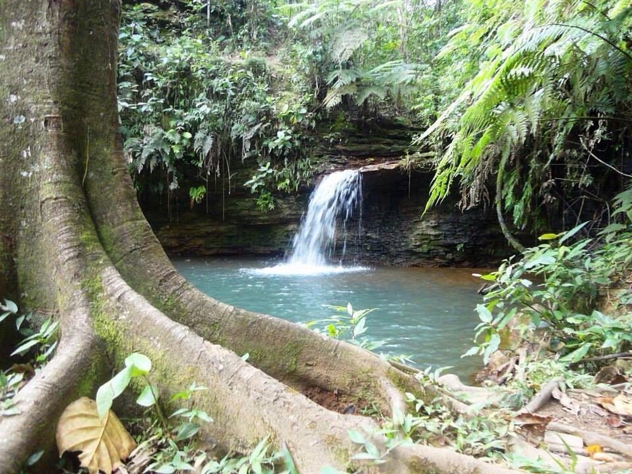 Cena de reportagem: cachoeira do Nhonho - All You SHOULD Know Before Going 2026 (w/ Reviews), no trecho “Passo a passo para pedir o agendamento”
