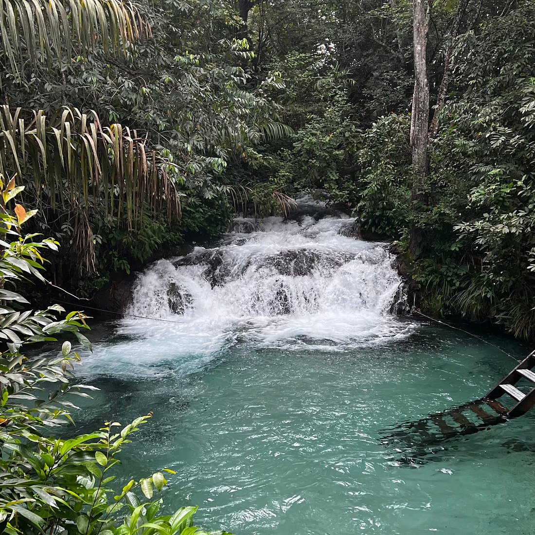 Cena de reportagem: jalapao Livre Expedições (Palmas) - 旅 游 景 点 点 评 - Tripadvisor, no trecho “Aventura e fauna”