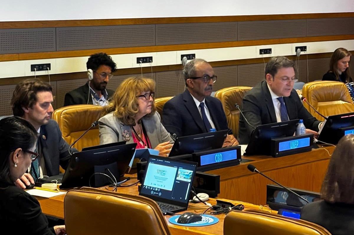 Cena de reportagem: armenia, UN hold briefing on preparations for Biodiversity COP17 in Yerevan - Pu, no trecho “Onde acompanhar”