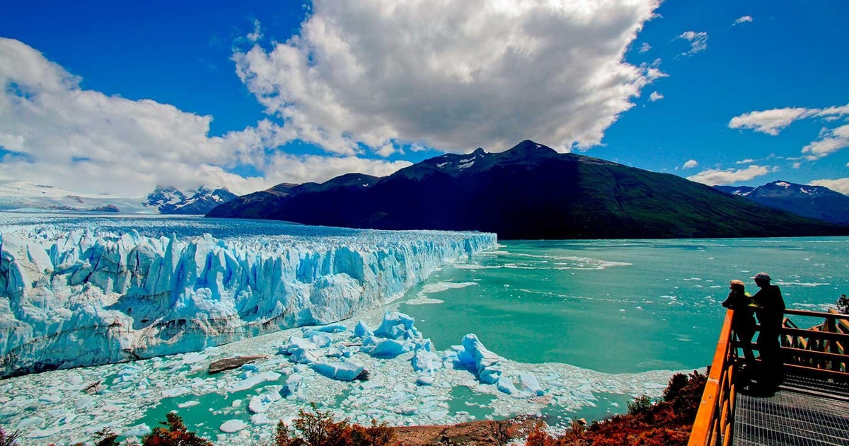 Cena de reportagem: el Calafate: Trip to the Famous Perito Moreno Glacier - 2026 (Verified Reviews), no trecho “Quando ver baleias e pinguins”