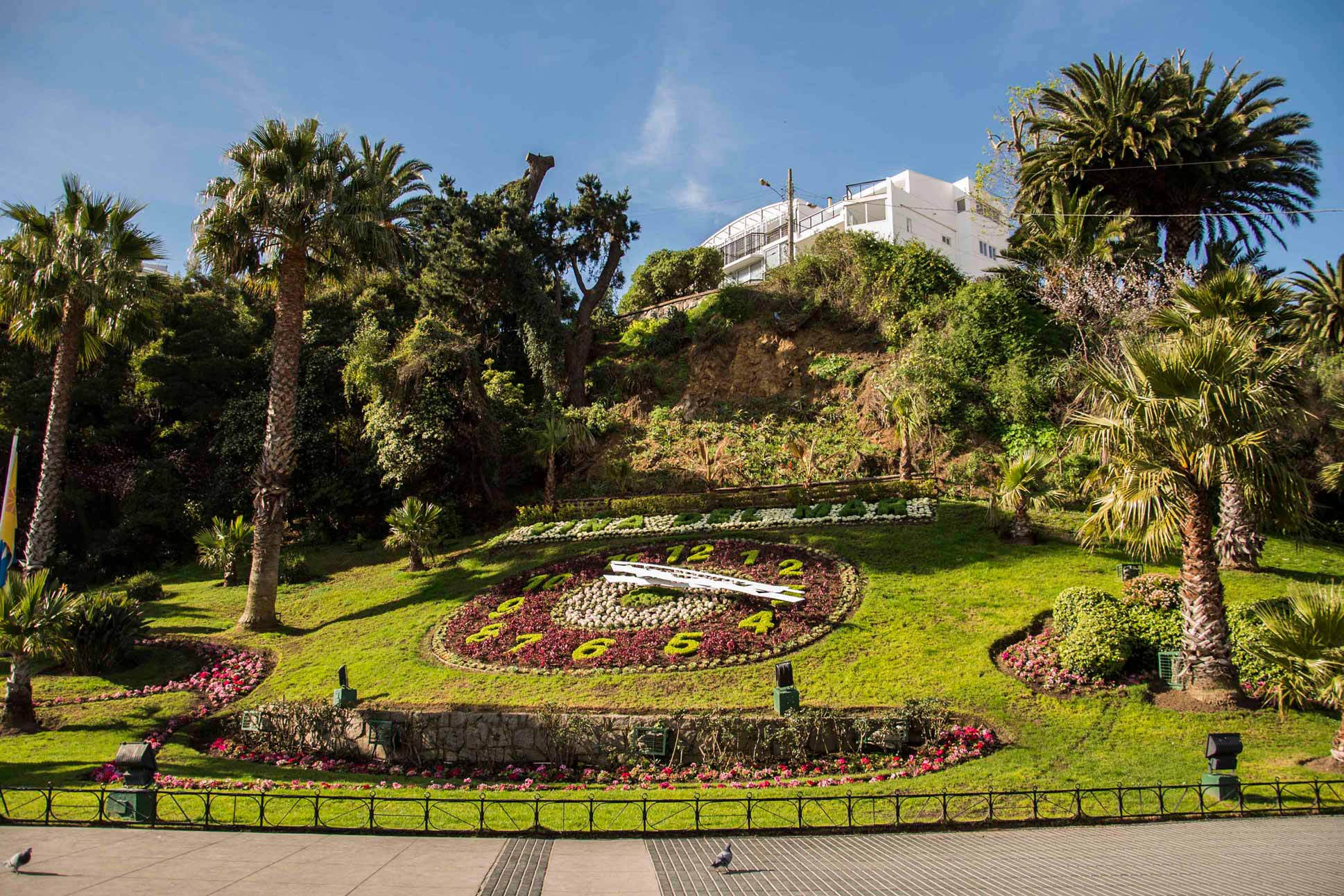 Cena de reportagem: viña del Mar and Reñaca - Chile Travel, no trecho “Segurança na água”