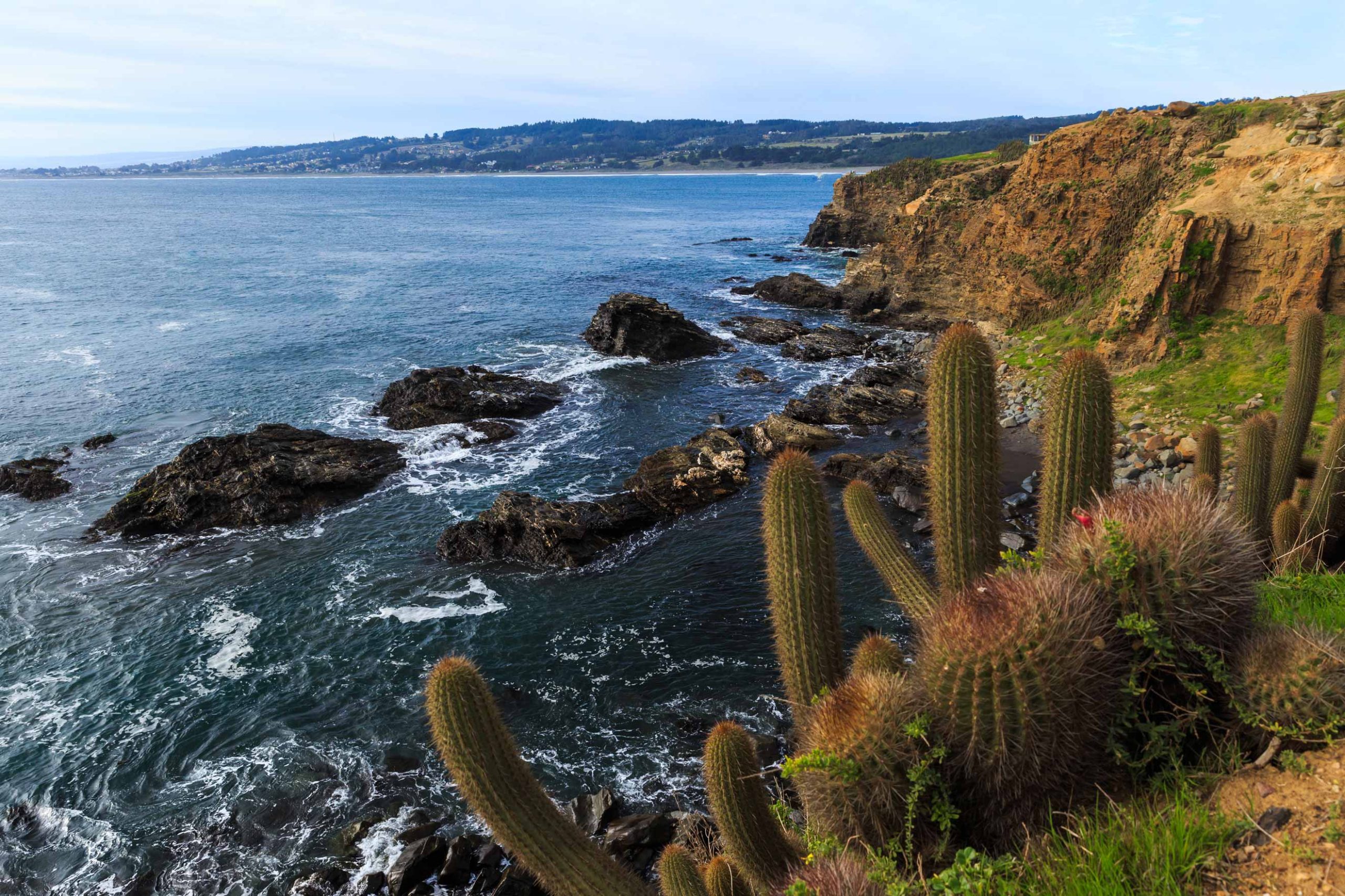 Cena de reportagem: 2-Day Itinerary in Pichilemu and Punta de Lobos - Chile Travel, no trecho “Segurança”