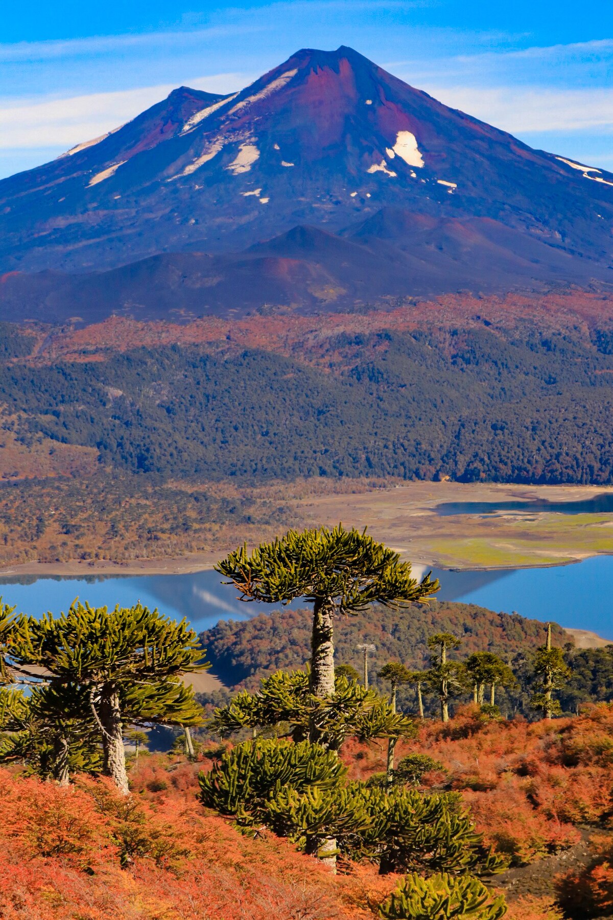 Cena de reportagem: trekking to Sierra Nevada, Conguillio Park, no trecho “Por terra”