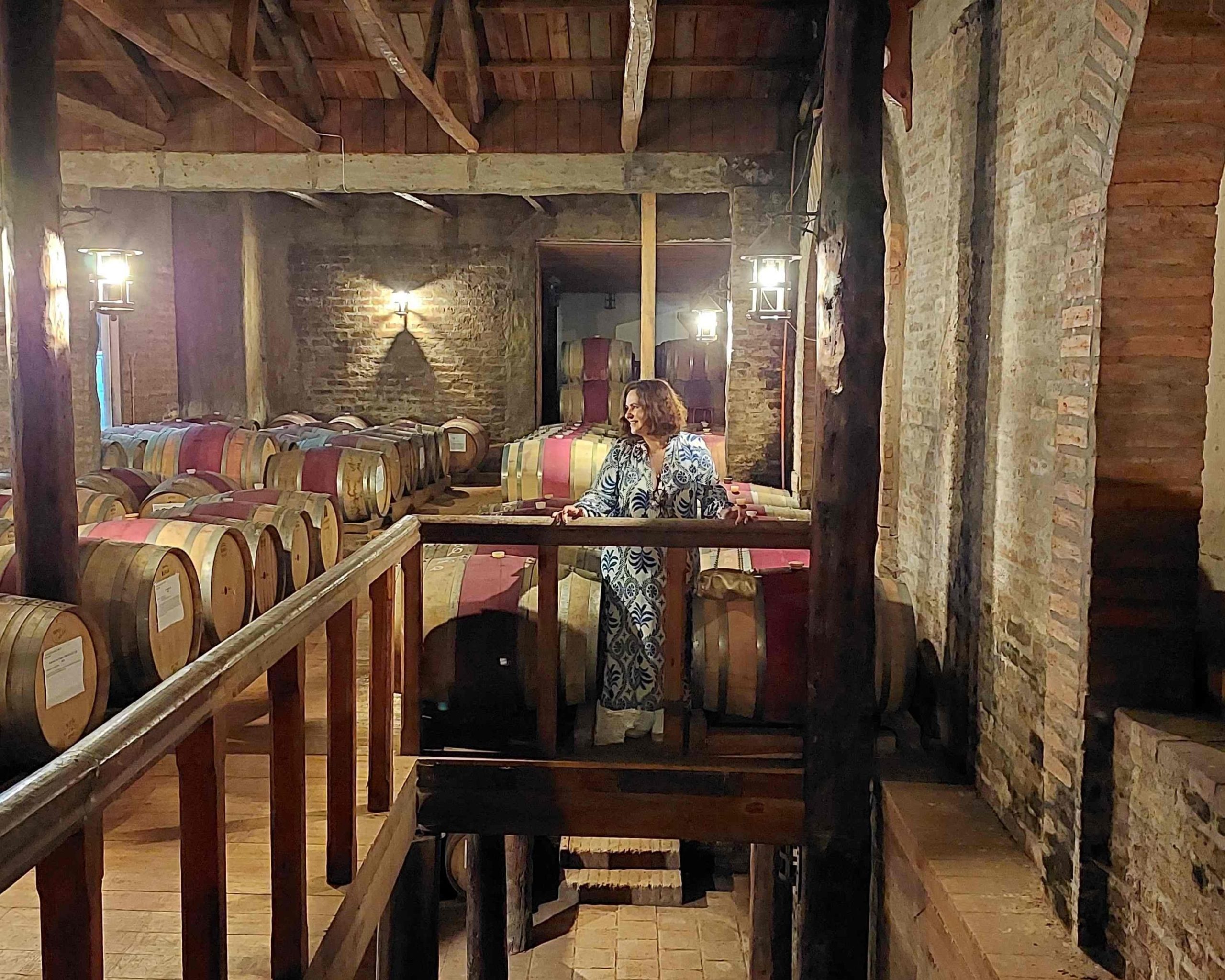 Cena de reportagem: as generosidades do Vale de Colchagua – Férias no Chile – Turismo do Vinho  no Chile, no trecho “Dicas de planejamento”