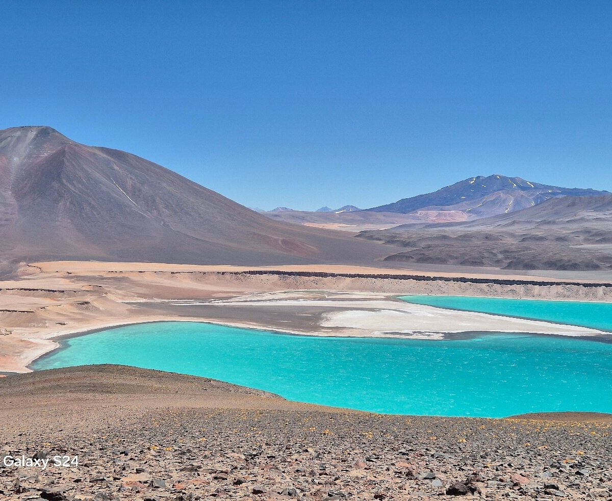 Cena de reportagem: volcan Ojos del Salado - O que saber antes de ir (ATUALIZADO 2026), no trecho “Observação de natureza”