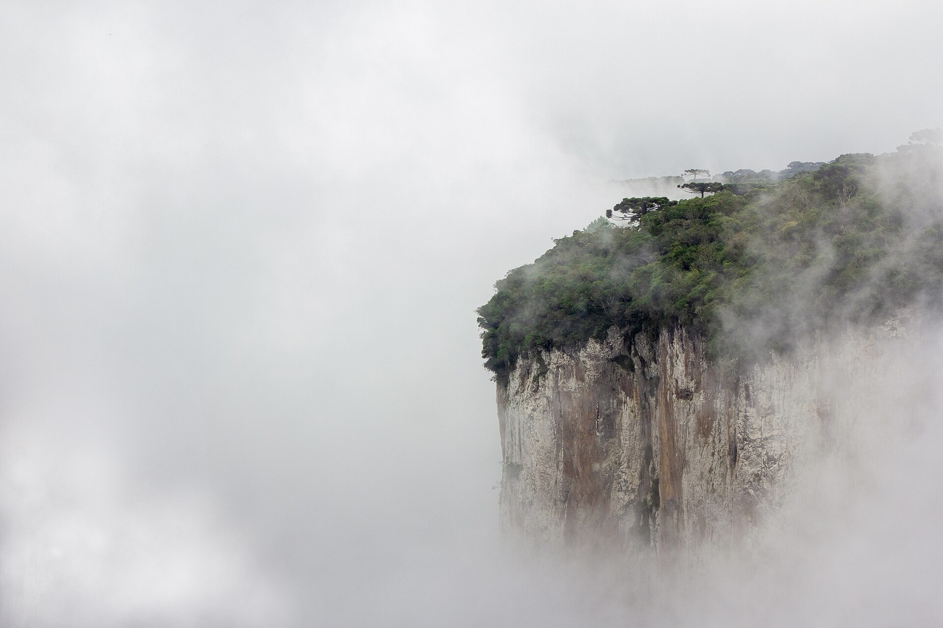 Cena de reportagem: área de vegetação nativa preservada nos parques de Aparados da Serra e Serra Geral, no trecho “Zoneamento ambiental e preservação da biodiversidade”