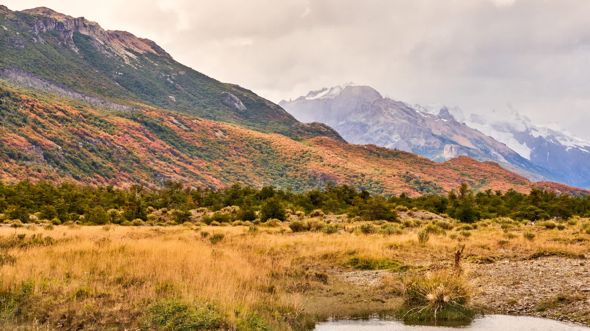 Cena de reportagem: researchers capture jaw-dropping footage of rare creatures in Patagonia: 'Never, no trecho “Como se preparar”