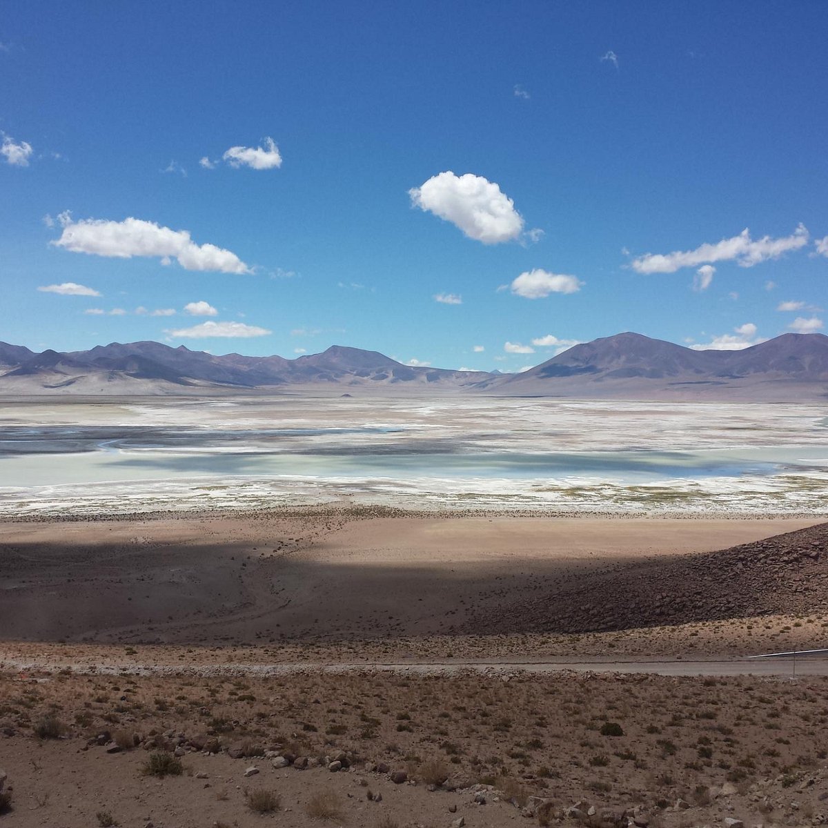 Cena de reportagem: pARQUE NACIONAL SALAR DEL HUASCO - All You SHOULD Know Before You Go 2026 (w/ Re, no trecho “Outras áreas protegidas de Tarapacá”