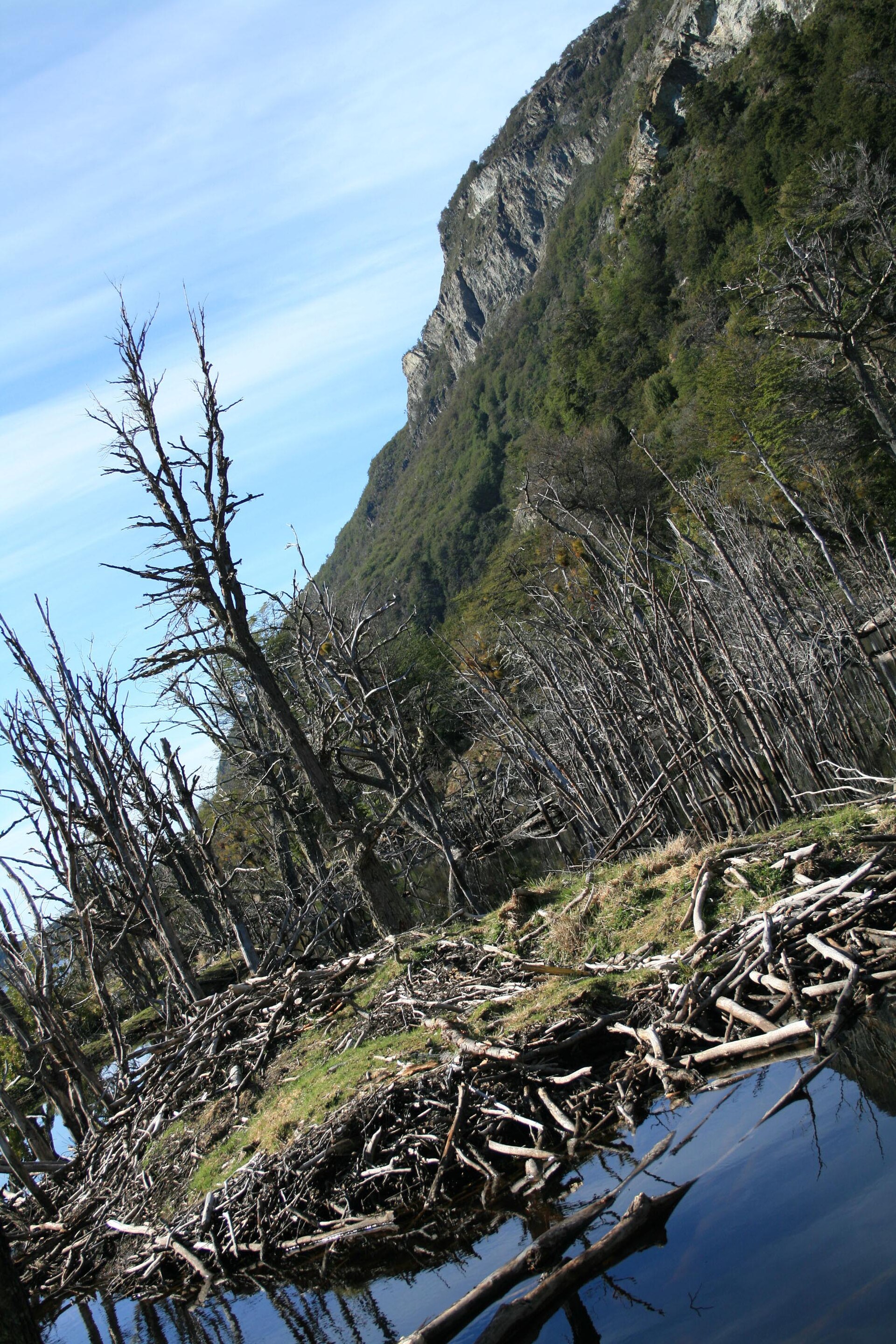Cena de reportagem: file:Ushuaia, Tierra del Fuego, Argentina - panoramio - Cayetano Roso (13).jpg, no trecho “De onde vem o nome”