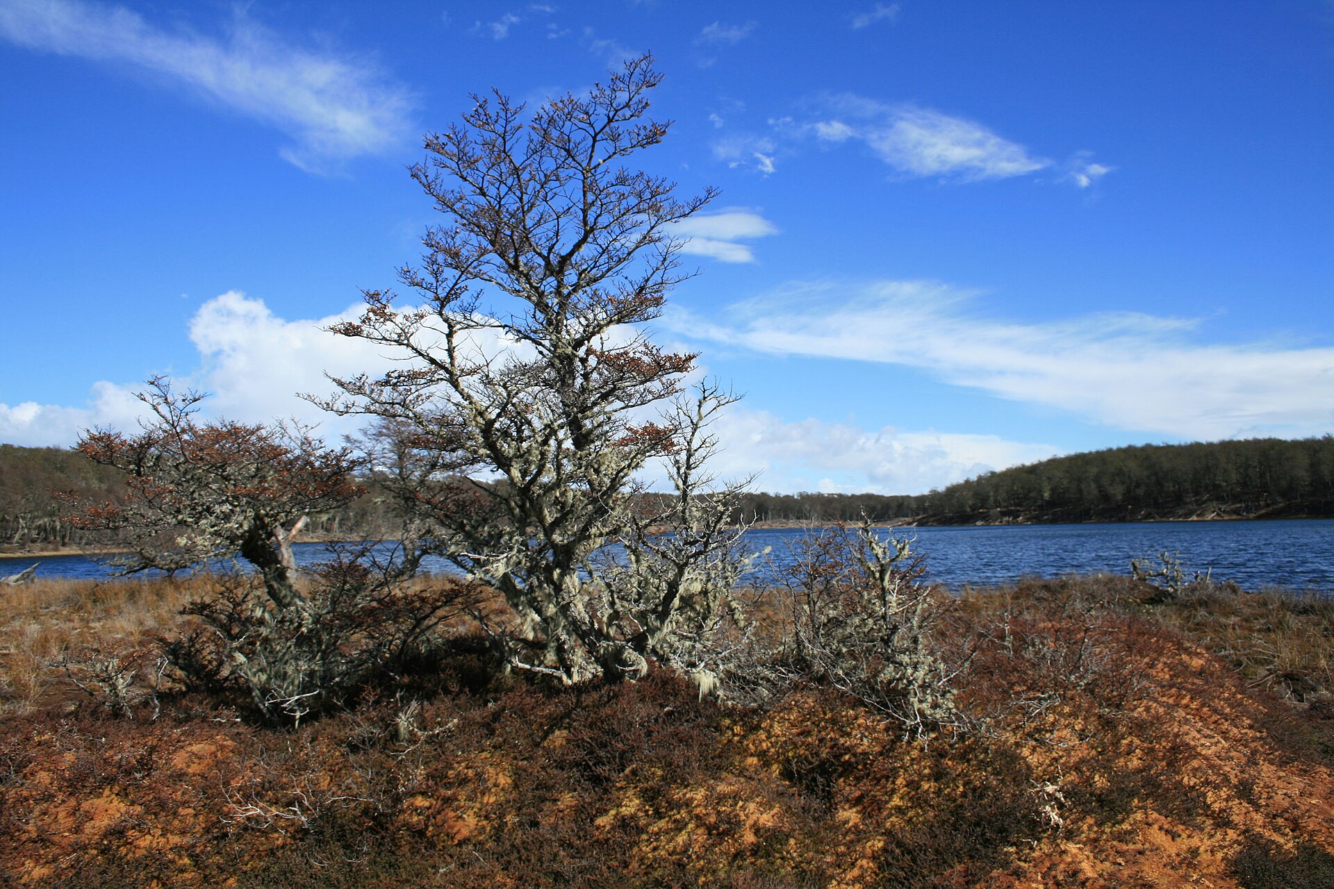 Cena de reportagem: file:Ushuaia, Tierra del Fuego, Argentina - panoramio - Cayetano Roso (7).jpg, no trecho “Como planejar a visita”