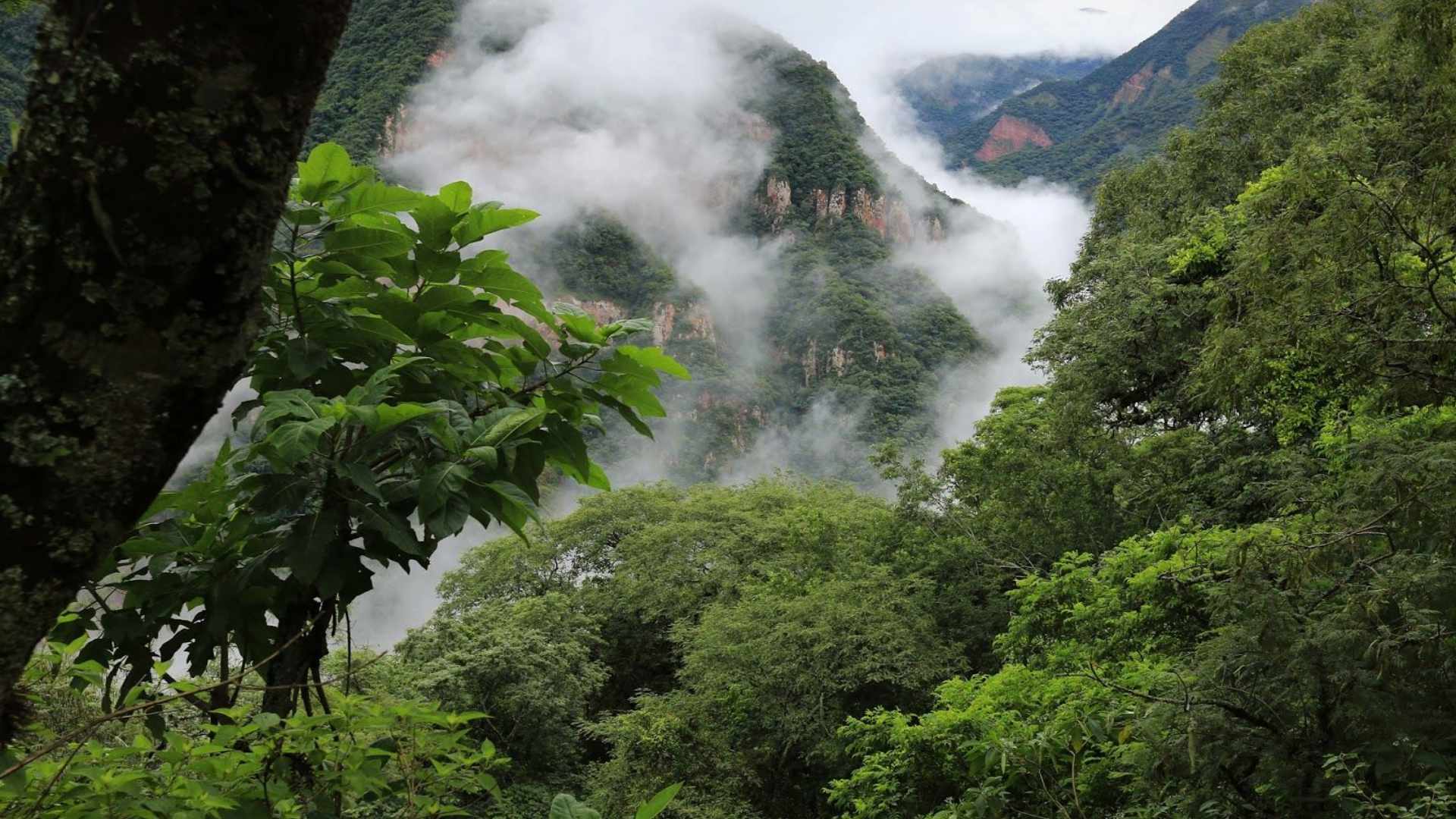 Cena de reportagem: 20 Epic Adventure Sports In South America You’ll Never Forget, no trecho “Uma estância de cavalos e gado”