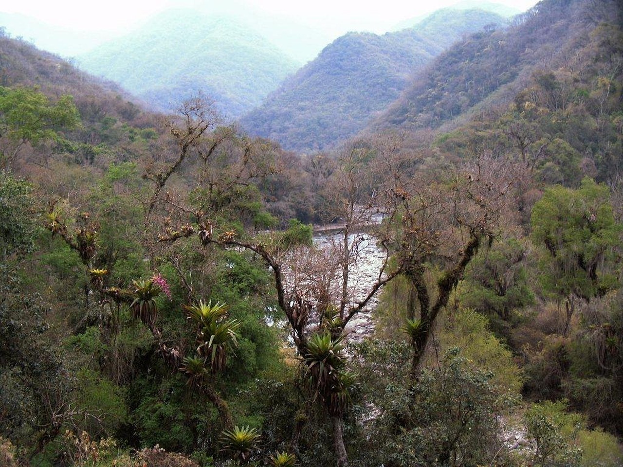 Cena de reportagem: tHE BEST Salta National Parks (Updated 2026) - Tripadvisor, no trecho “Como visitar sem pagar”