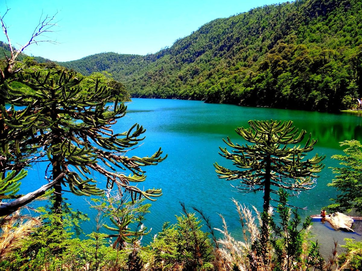 Cena de reportagem: parque Nacional Huerquehue (2026) - All You SHOULD Know Before You Go (w/ Review, no trecho “O que o gestor diz e o que ainda não foi informado”