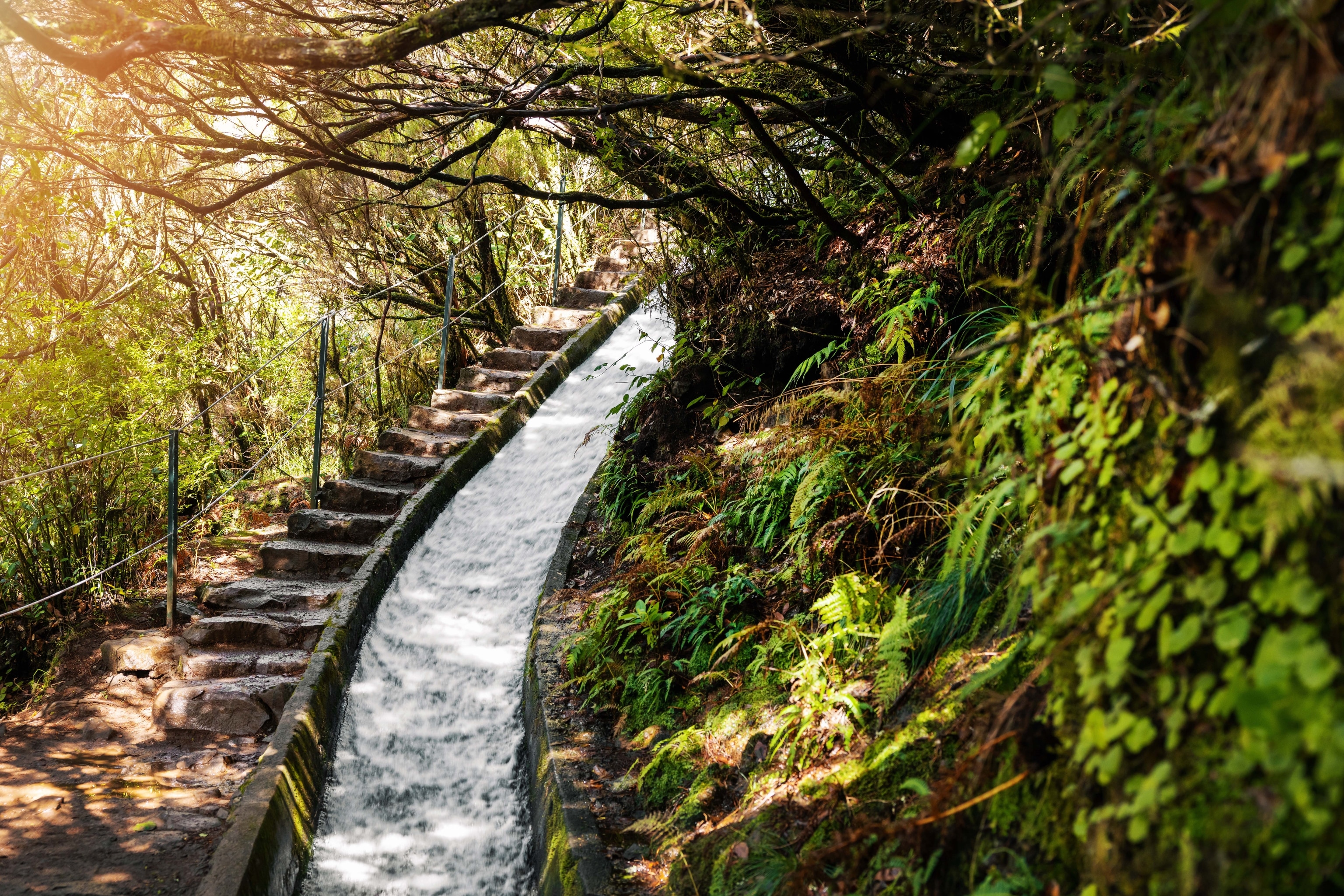 Cena de reportagem: why you should plan a hiking trip to Madeira, Portugal National Geographic, no trecho “Levadas: os canais que viraram trilha”