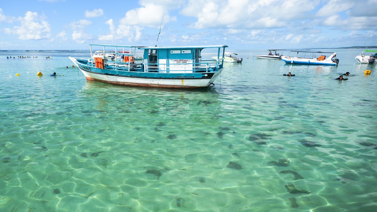 Cena de reportagem: discover Maragogi in 8 Days - Book Your Tour from Recife Now ▷ 2026-2027 Prices, no trecho “Como funciona o passeio”