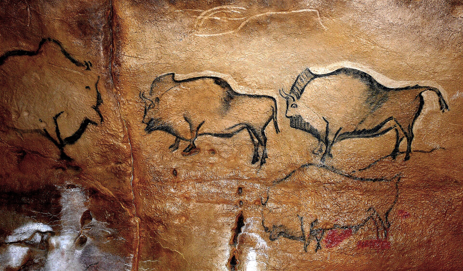 Cena de reportagem: file:Bisontes de La Covaciella (España).jpg - Wikipedia, no trecho “Quando ir”