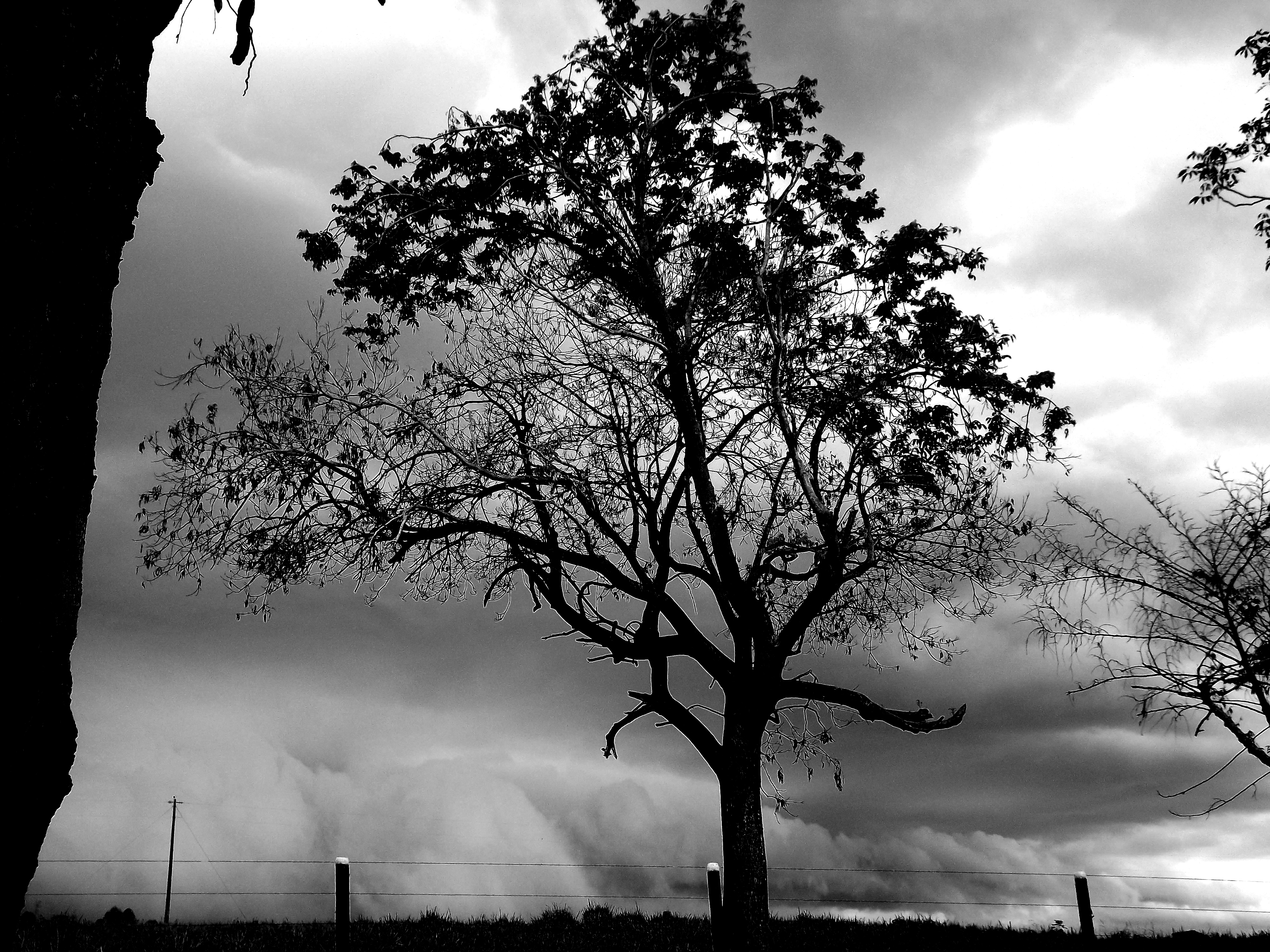Cena de reportagem: file:Frente fria chegando com chuva torrencial. Nuvens, vento, chuva forte. - pa, no trecho “Onde deveria chover menos”