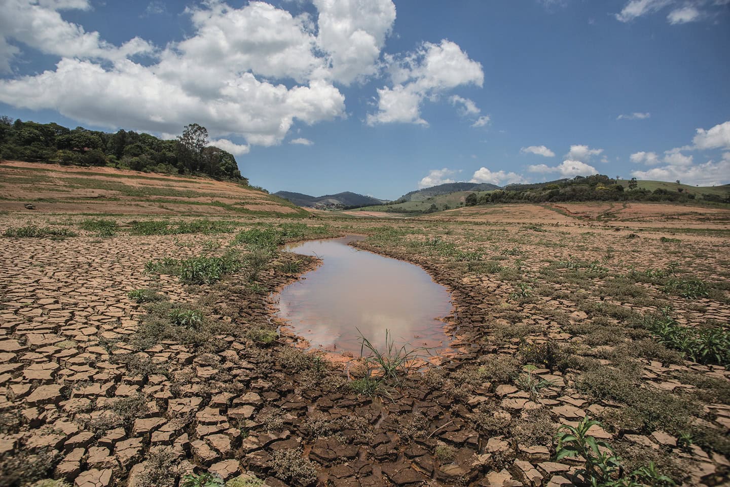 Cena de reportagem: \ The Sertão Region Resists Climate Change,\  Says Researcher - The Brasilians, no trecho “Assentamentos rurais”