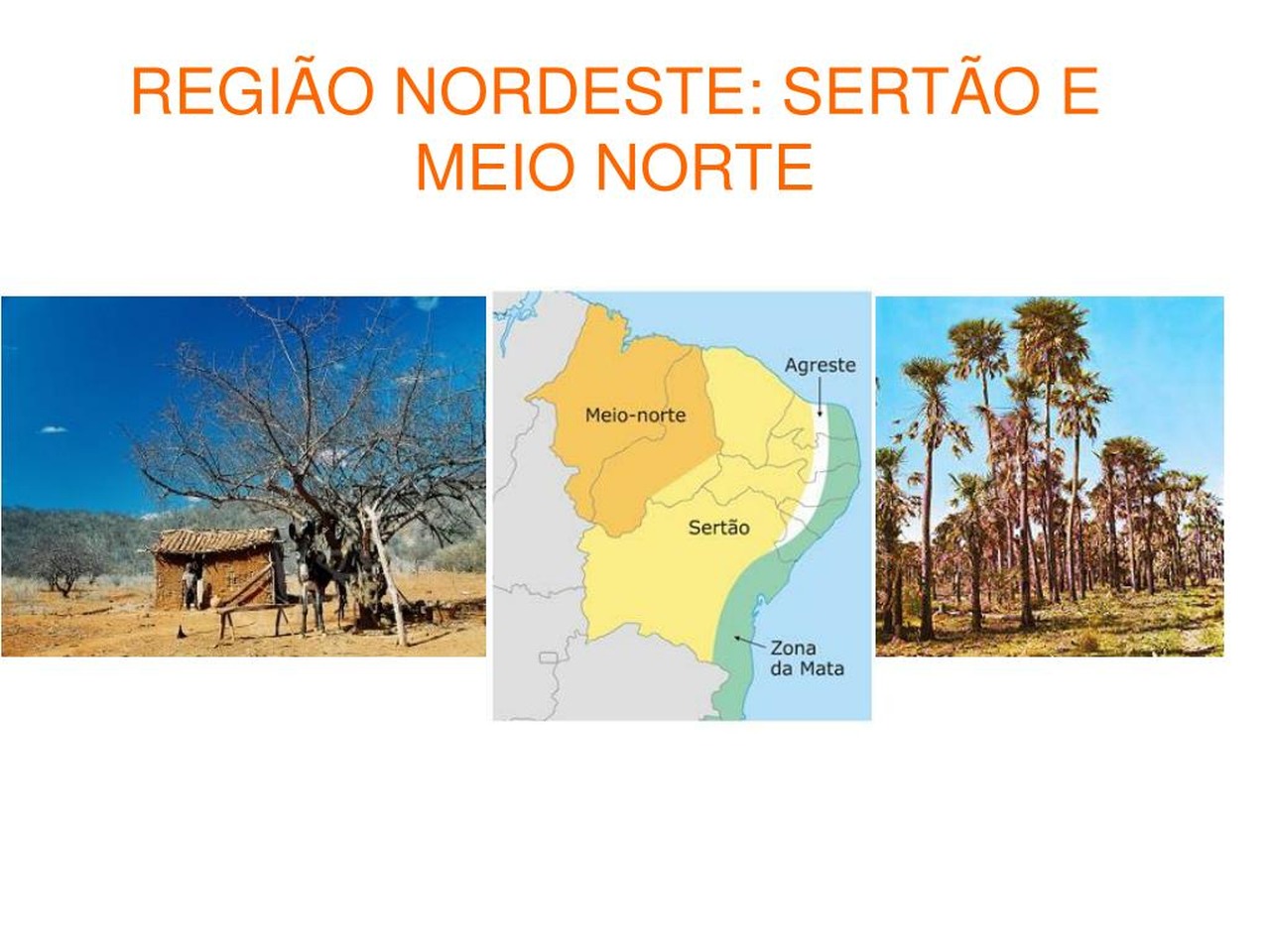 Cena de reportagem: pPT - REGIÃO NORDESTE: SERTÃO E MEIO NORTE PowerPoint Presentation, free downloa, no trecho “O que o boletim recomenda”