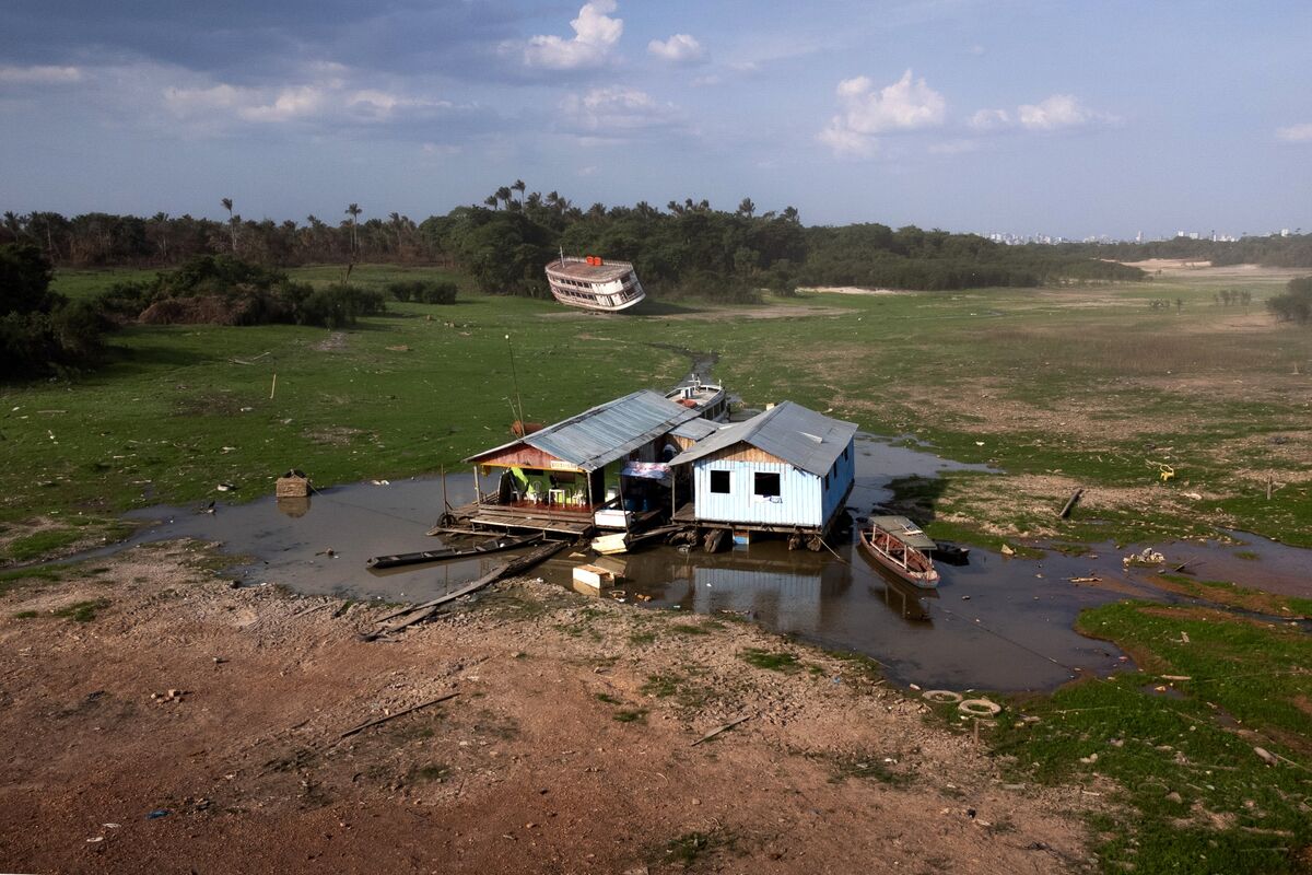 Cena de reportagem: histórica sequía empeoraría en la Amazonía de Brasil, dice científico del clima, no trecho “O que isso significa para quem visita”