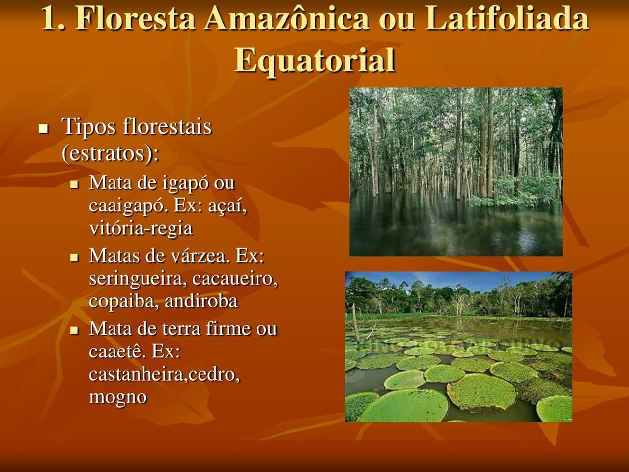 Cena de reportagem: pPT - Vegetação Brasileira PowerPoint Presentation, free download - ID:1364891, no trecho “O que o plano prevê”