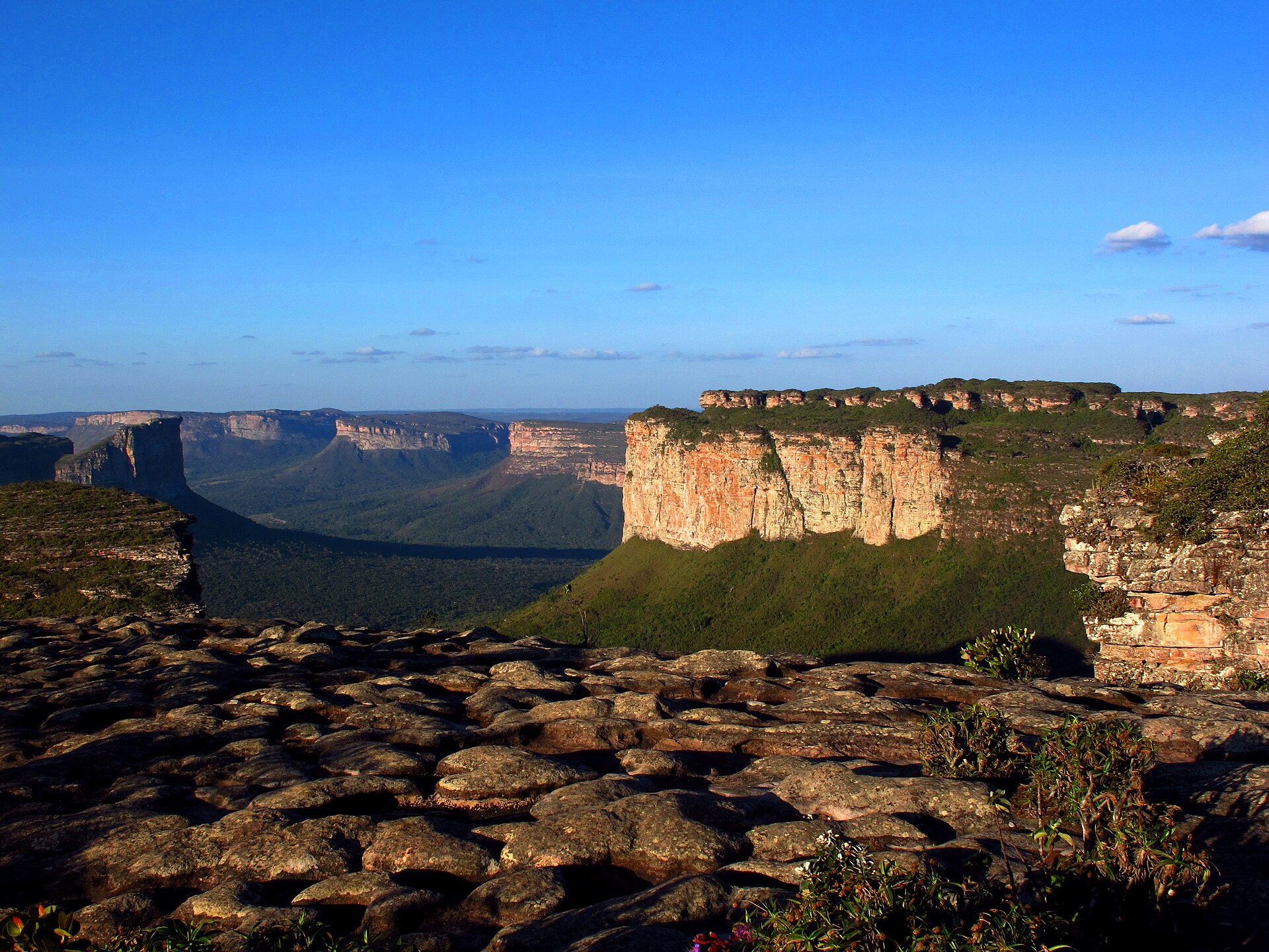 Cena de reportagem: chapada Diamantina - Wikipedia, no trecho “O que saber antes de ir ao parque”