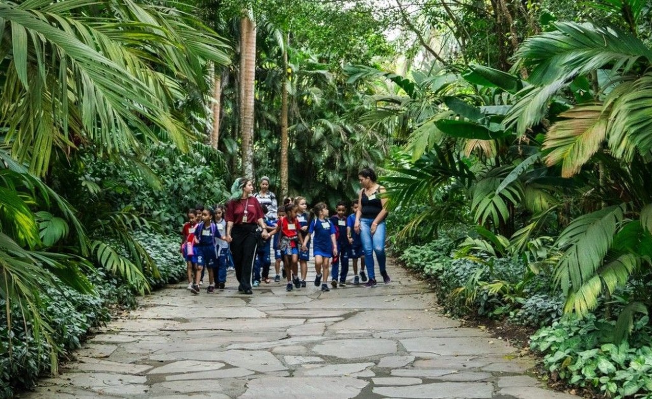 Cena de reportagem: instituto Inhotim, em Brumadinho, terá entrada gratuita neste domingo, no trecho “Quem entra de graça em qualquer dia”
